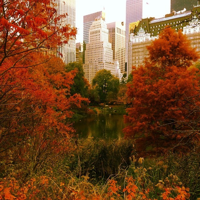 Central Park