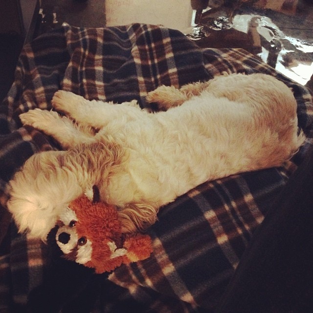Napping